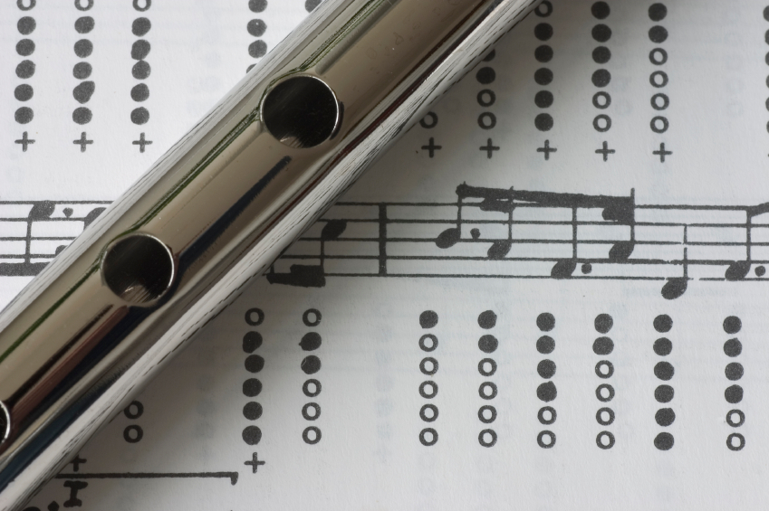 Tin Whistle and Music Literacy for Schools