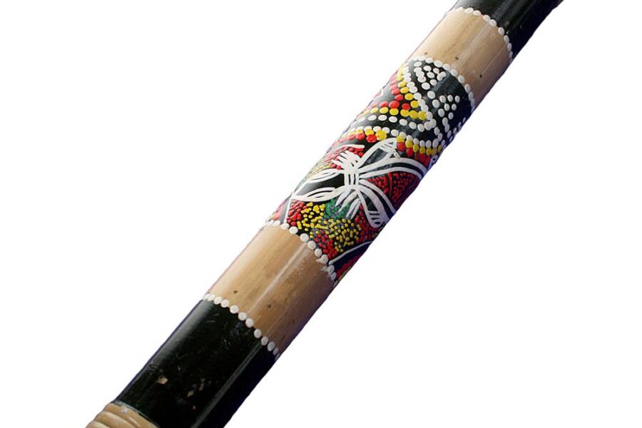 rainstick 1